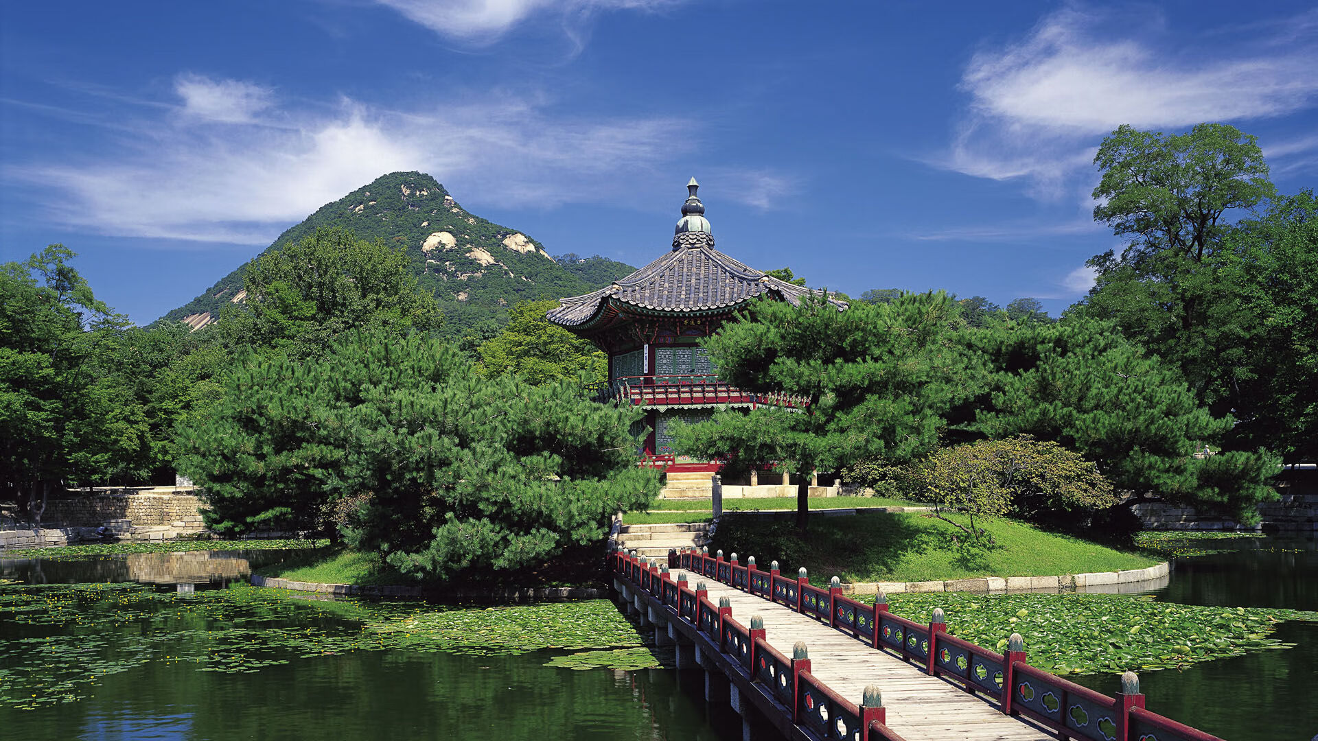 勒沃库森客场2-1战胜莱比锡，继续领跑德甲，勒沃库森比赛视频聚胜顽球汇