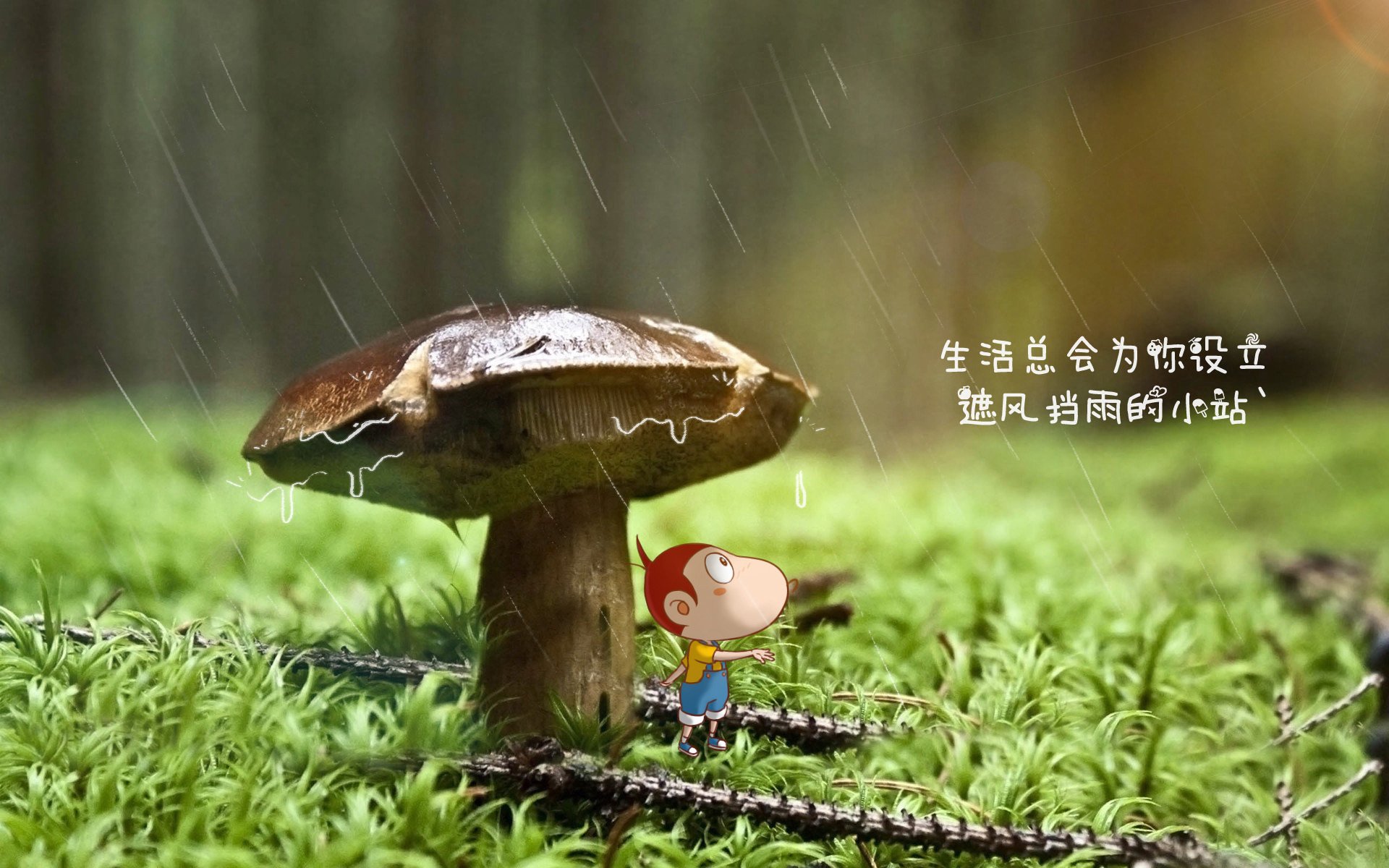 乐鱼电竞在线平台登录入口-弗朗索瓦·斯图尔特：他的强硬防守助力南非队掌控比赛节奏，弗朗索瓦德尔萨特